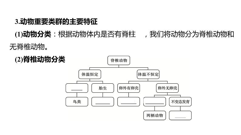 备战2022 中考生物 一轮复习 第十八讲 根据生物特征进行分类 课件第6页