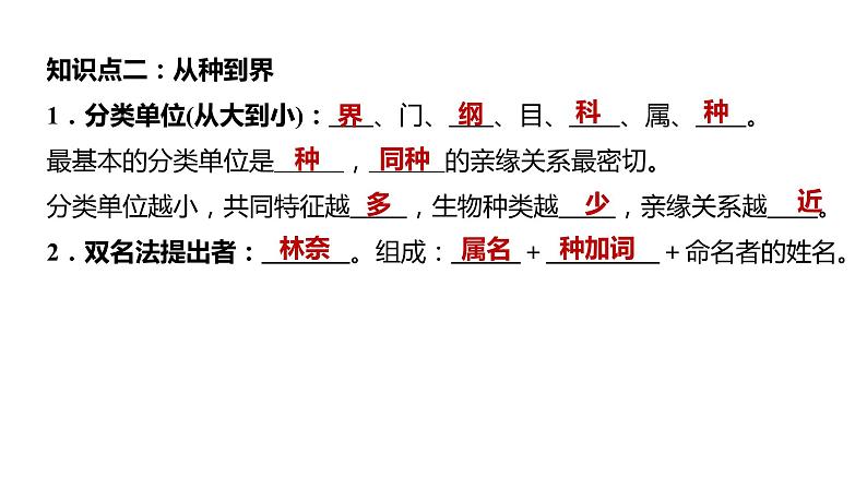 备战2022 中考生物 一轮复习 第十八讲 根据生物特征进行分类 课件第8页