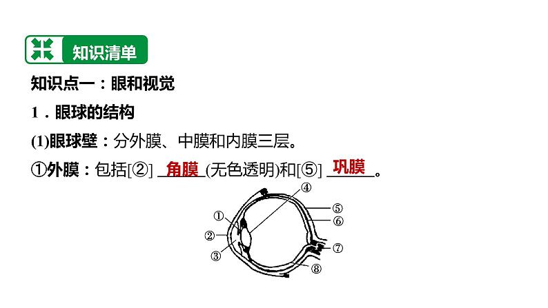 备战2022 中考生物 一轮复习 第十四讲  人体生命活动的调节 课件第3页