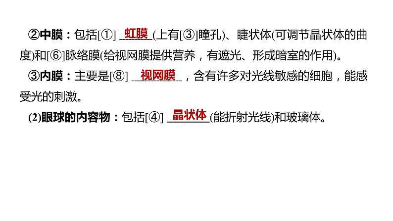 备战2022 中考生物 一轮复习 第十四讲  人体生命活动的调节 课件第4页