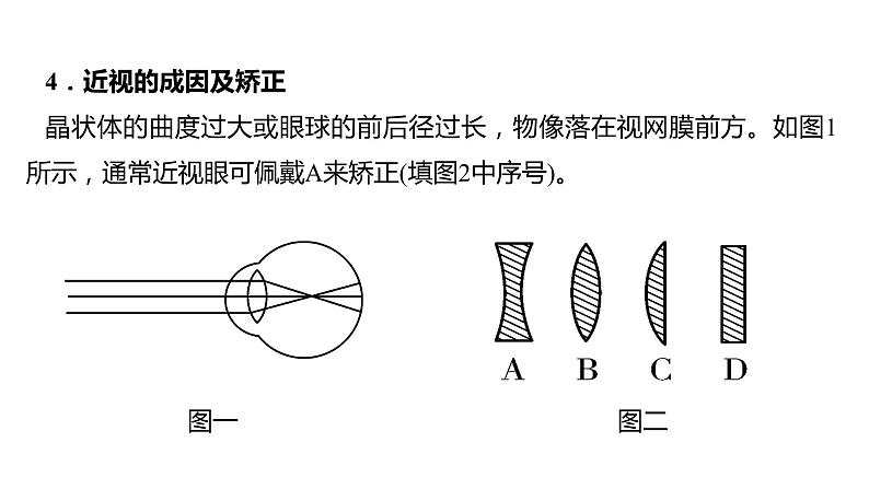 备战2022 中考生物 一轮复习 第十四讲  人体生命活动的调节 课件第7页