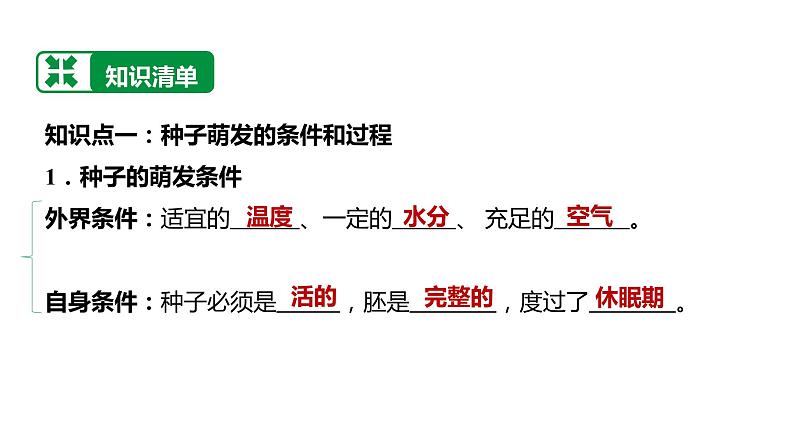 备战2022 中考生物 一轮复习 第五讲 被子植物的一生 课件第3页