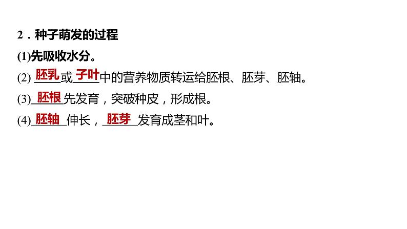 备战2022 中考生物 一轮复习 第五讲 被子植物的一生 课件第4页