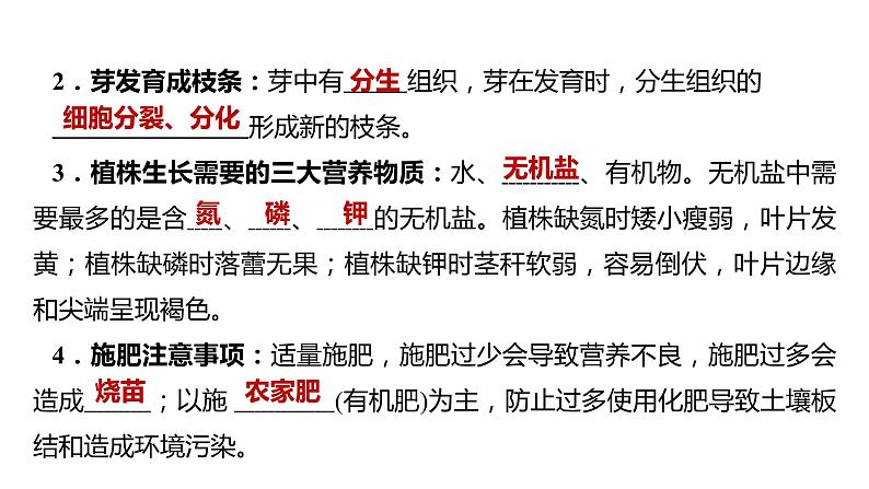 备战2022 中考生物 一轮复习 第五讲 被子植物的一生 课件第8页