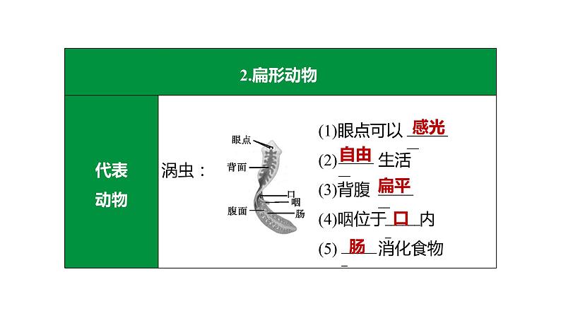 备战2022 中考生物 一轮复习 第十五讲 动物的主要类群 课件06