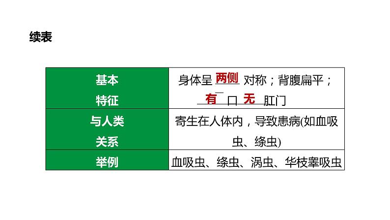 备战2022 中考生物 一轮复习 第十五讲 动物的主要类群 课件07