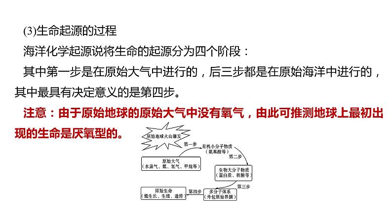 备战2022 中考生物 一轮复习 第二十一讲 生命起源和生物进化 课件第7页