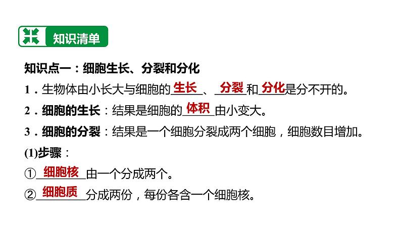 备战2022 中考生物 一轮复习 第三讲 细胞怎样构成生物体 课件第3页