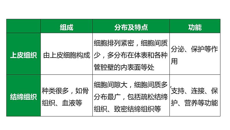 备战2022 中考生物 一轮复习 第三讲 细胞怎样构成生物体 课件第7页