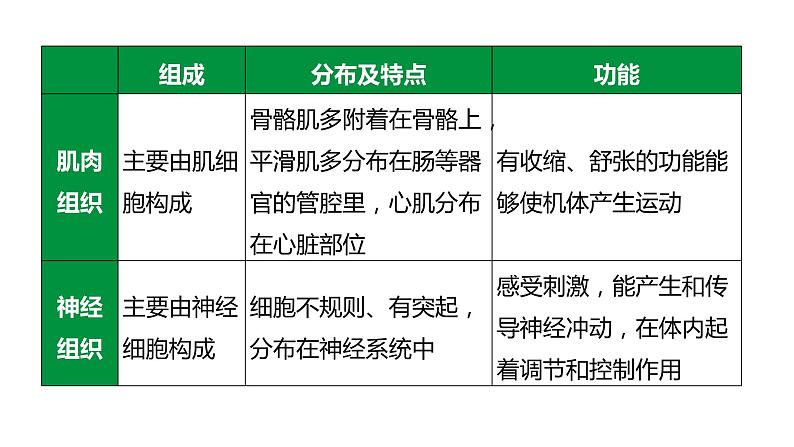 备战2022 中考生物 一轮复习 第三讲 细胞怎样构成生物体 课件第8页