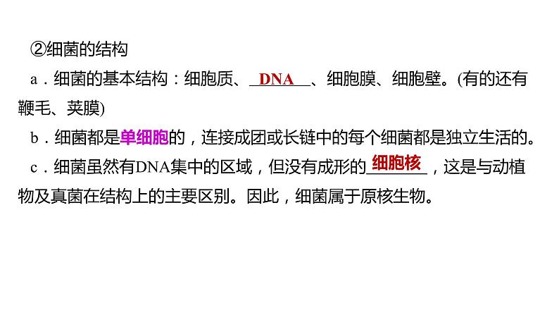 备战2022 中考生物 一轮复习 第十七讲 细菌和真菌 病毒 课件07