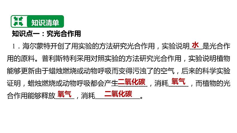 备战2022 中考生物 一轮复习 第七讲 绿色植物是生物圈中有机物的制造者 课件03