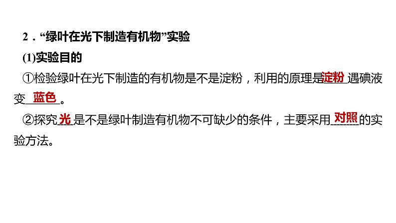 备战2022 中考生物 一轮复习 第七讲 绿色植物是生物圈中有机物的制造者 课件04