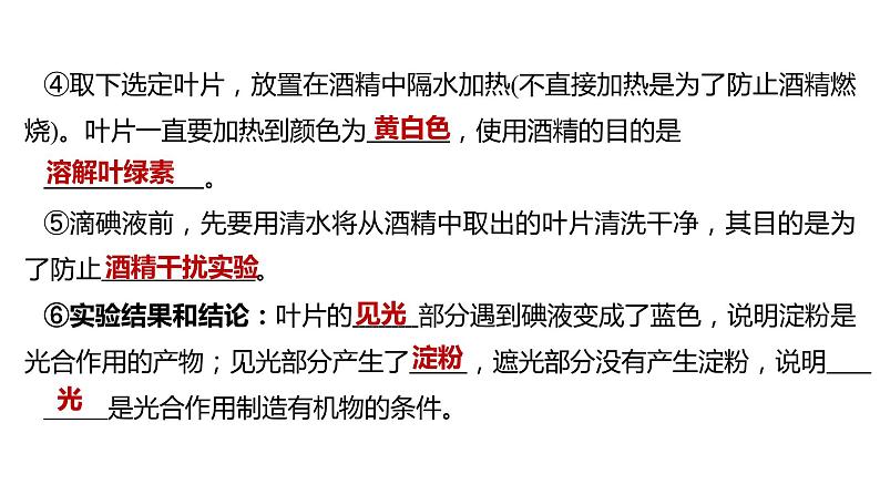 备战2022 中考生物 一轮复习 第七讲 绿色植物是生物圈中有机物的制造者 课件06