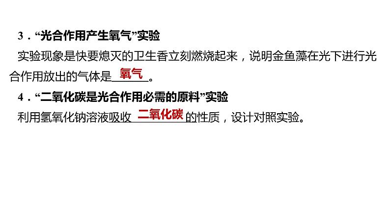 备战2022 中考生物 一轮复习 第七讲 绿色植物是生物圈中有机物的制造者 课件07