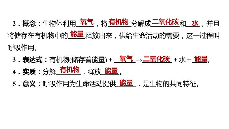 备战2022 中考生物 一轮复习 第八讲 绿色植物与生物圈中的碳一氧平衡爱护植被，绿化祖国 课件04