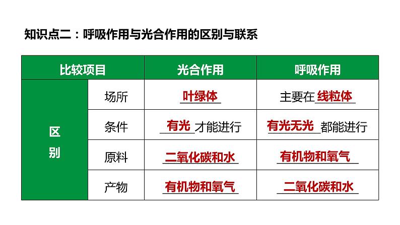 备战2022 中考生物 一轮复习 第八讲 绿色植物与生物圈中的碳一氧平衡爱护植被，绿化祖国 课件07