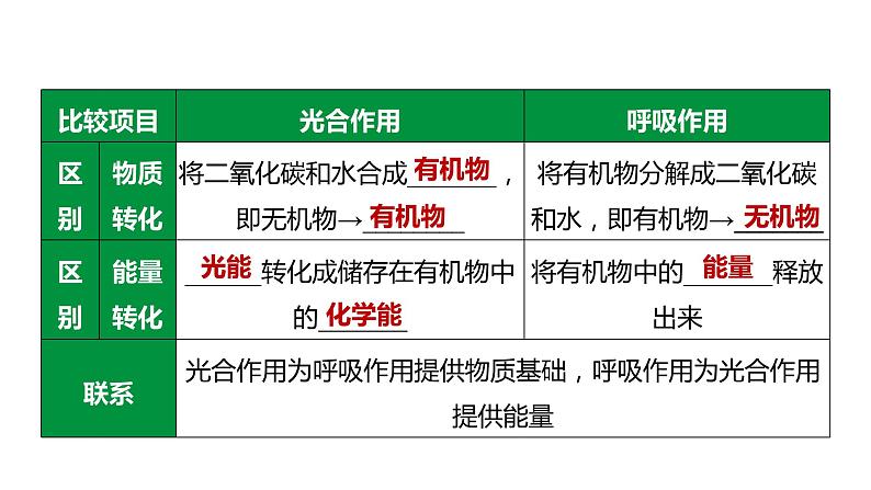 备战2022 中考生物 一轮复习 第八讲 绿色植物与生物圈中的碳一氧平衡爱护植被，绿化祖国 课件08