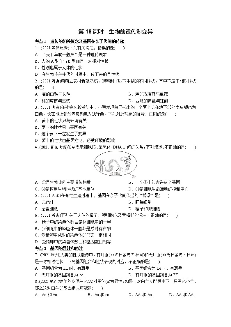 18生物的遗传和变异-2022年中考生物一轮复习微专题考点过关带答案01