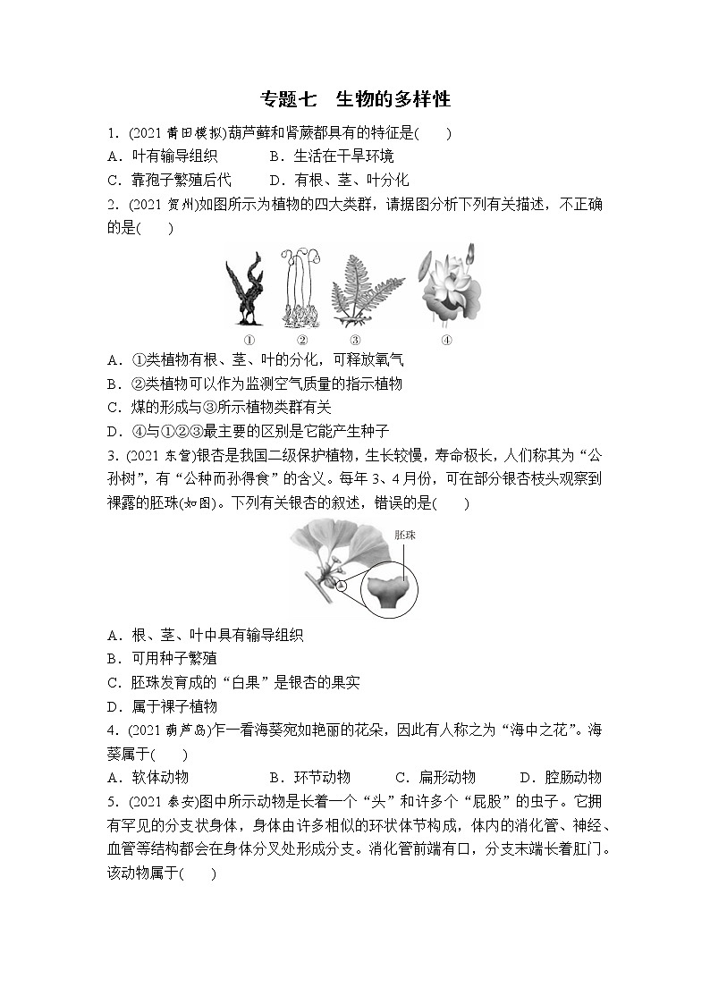 （七）生物的多样性-2022年中考生物二轮专题复习带答案01