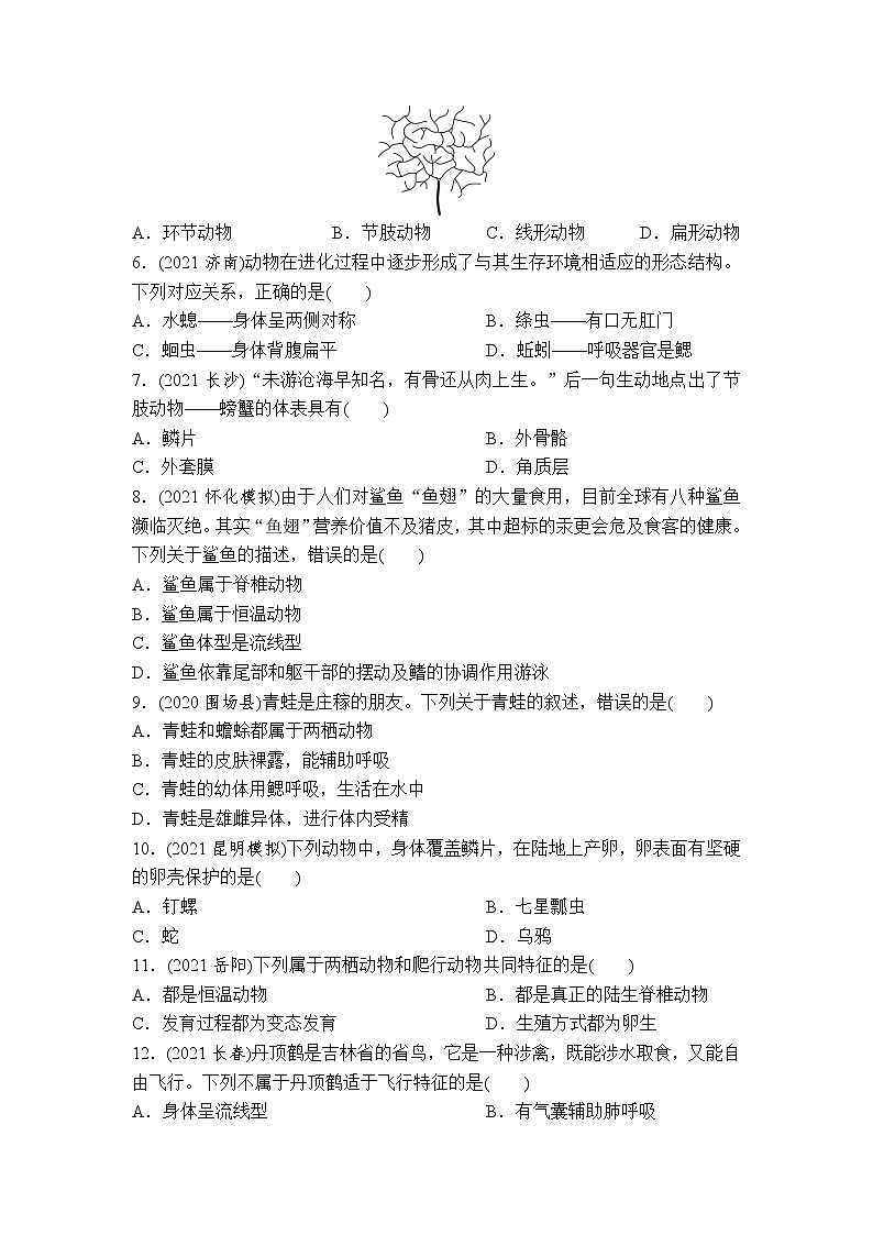 （七）生物的多样性-2022年中考生物二轮专题复习带答案02