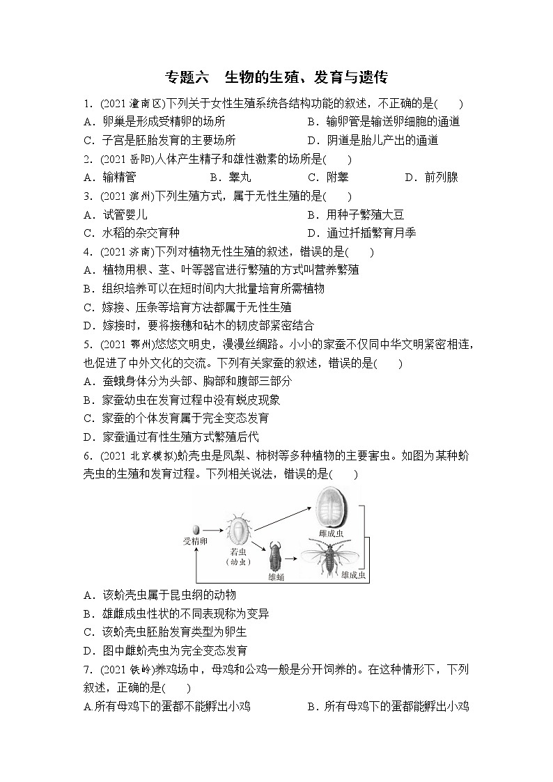 （六）生物的生殖、发育与遗传-2022年中考生物二轮专题复习带答案第1页