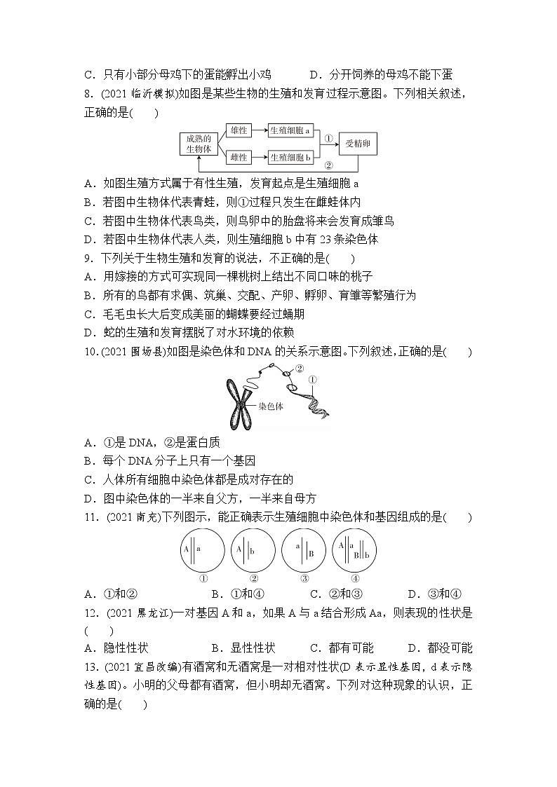 （六）生物的生殖、发育与遗传-2022年中考生物二轮专题复习带答案第2页