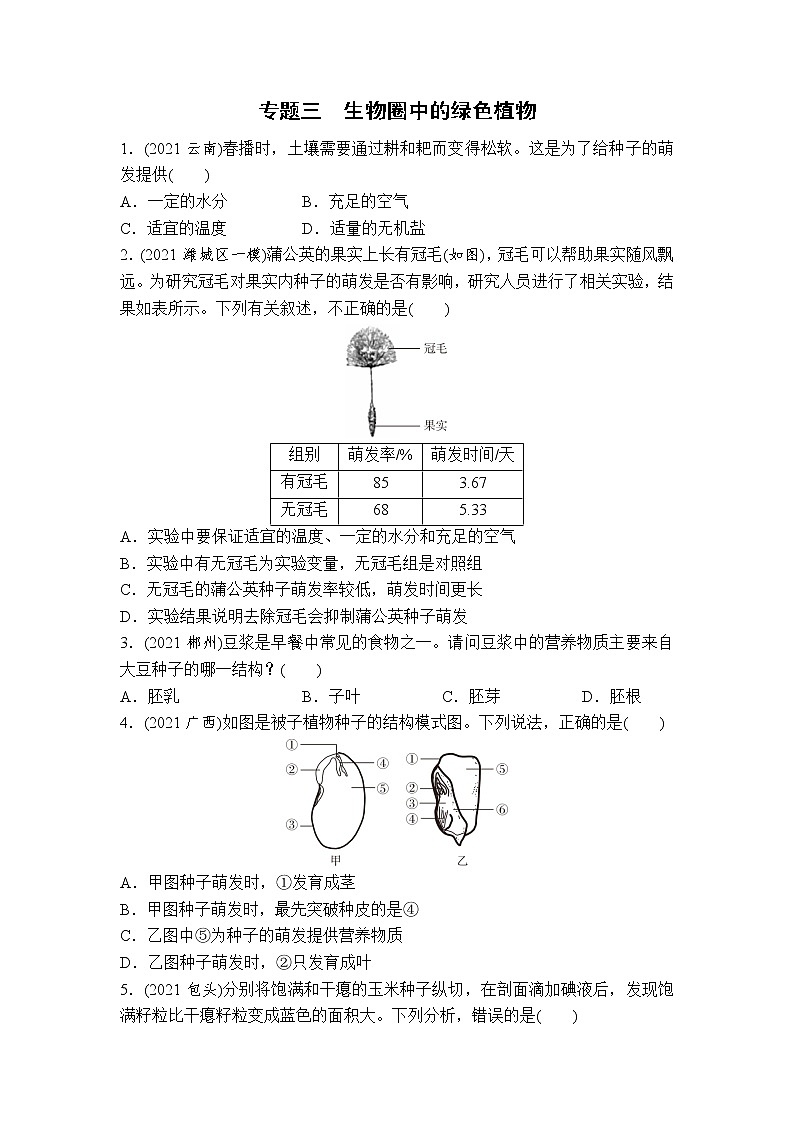 （三）生物圈中的绿色植物-2022年中考生物二轮专题复习带答案01