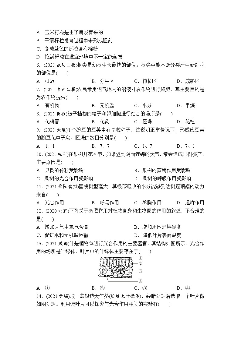 （三）生物圈中的绿色植物-2022年中考生物二轮专题复习带答案02