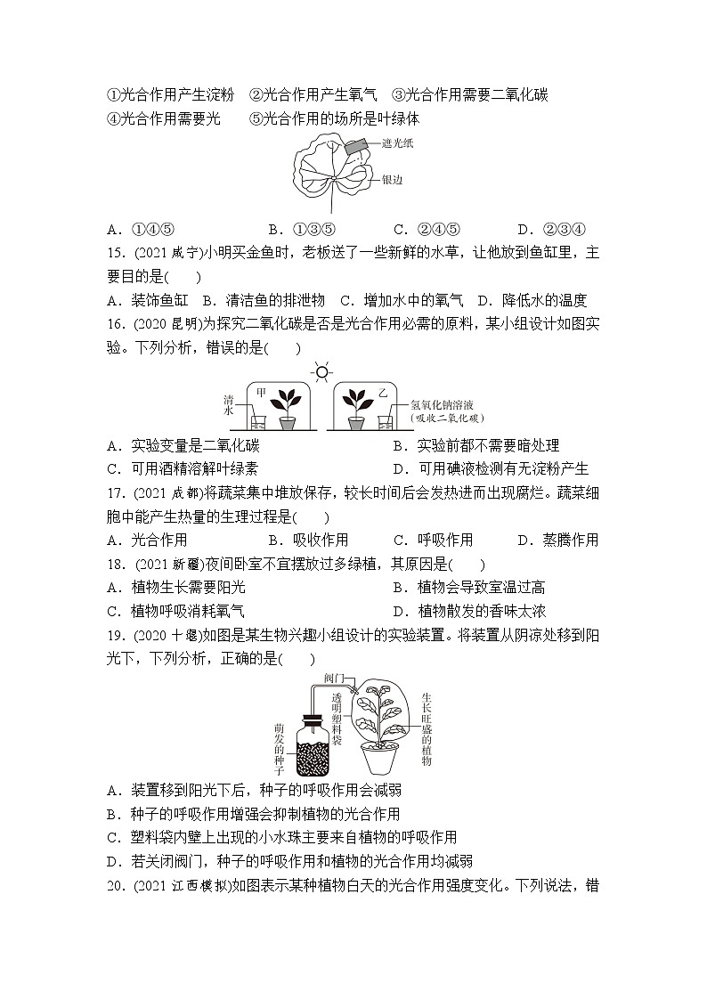 （三）生物圈中的绿色植物-2022年中考生物二轮专题复习带答案03