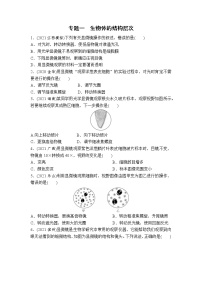 （一）生物体的结构层次-2022年中考生物二轮专题复习带答案