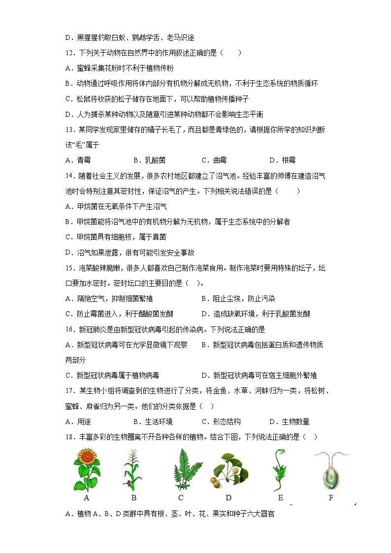 四川省江油市八校联考2021-2022学年八年级上学期期末生物试题（word版 含答案）第3页