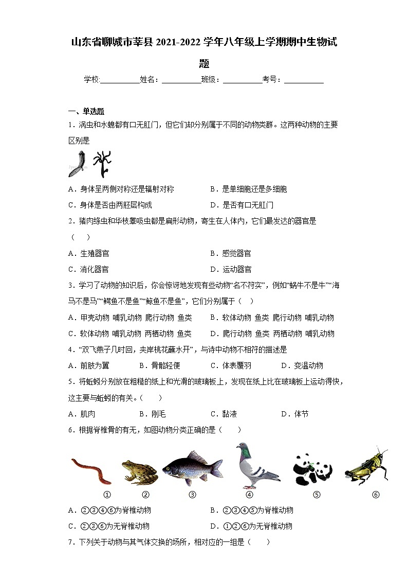 山东省聊城市莘县2021-2022学年八年级上学期期中生物试题（word版 含答案）01