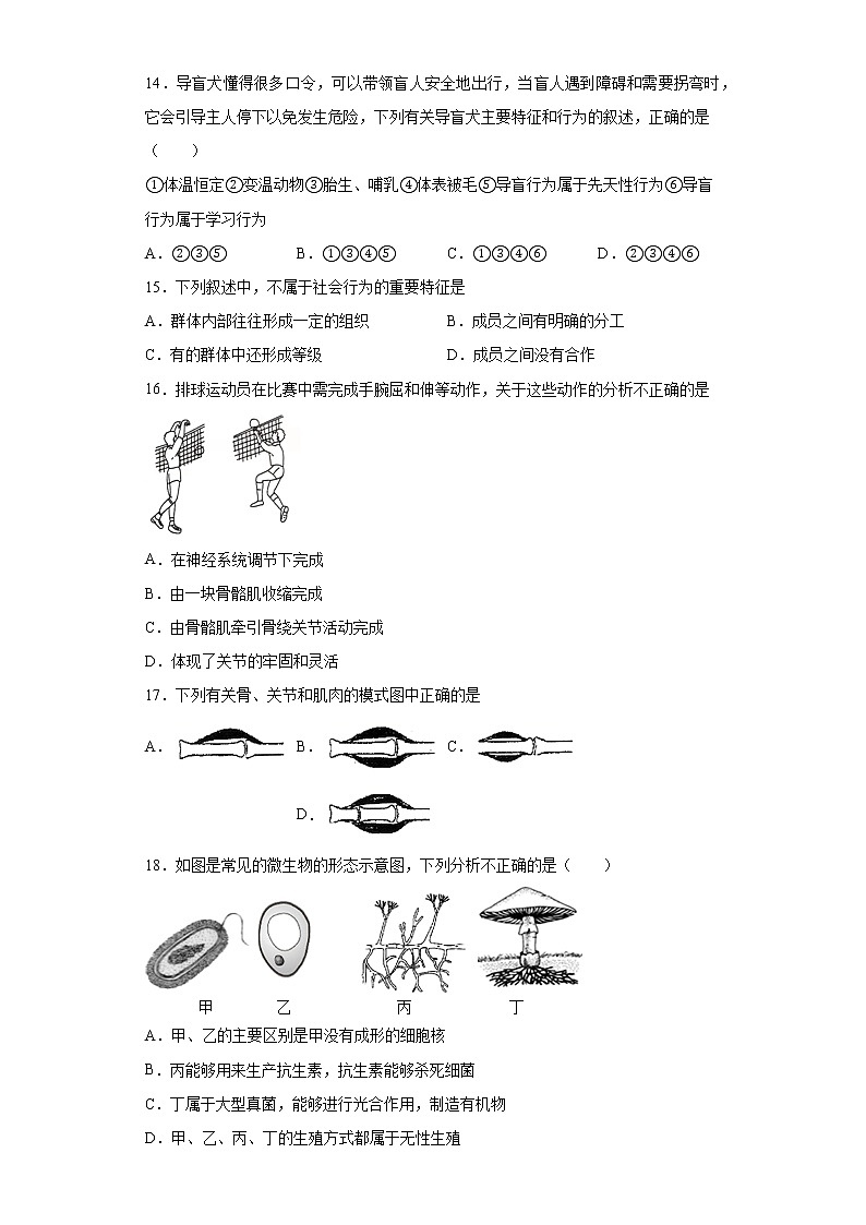 山东省聊城市莘县2021-2022学年八年级上学期期中生物试题（word版 含答案）03