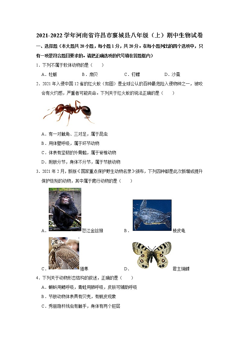 2021-2022学年河南省许昌市襄城县八年级上学期期中生物试题（word版 含答案）01