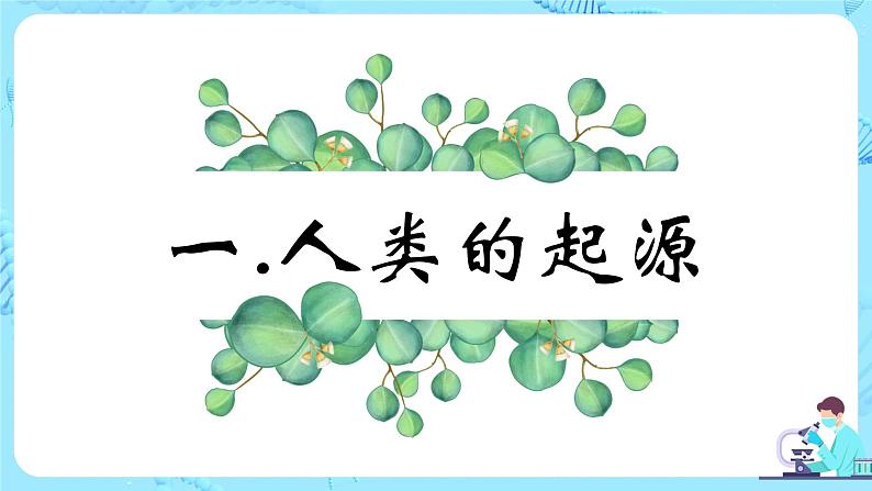 人教版（新课标）生物七下：1.1《人的起源和发展》（课件+教案+练习）06