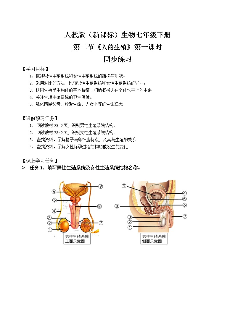 人教版（新课标）生物七下：1.2《人的生殖》（第一课时）（课件+教案+练习）01