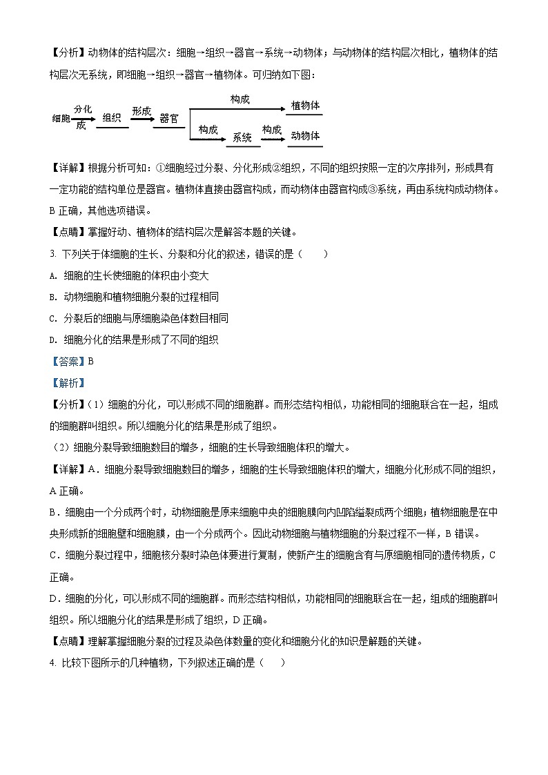 精品解析：2021年山东省菏泽市单县中考一模生物试题（解析版+原卷版）02