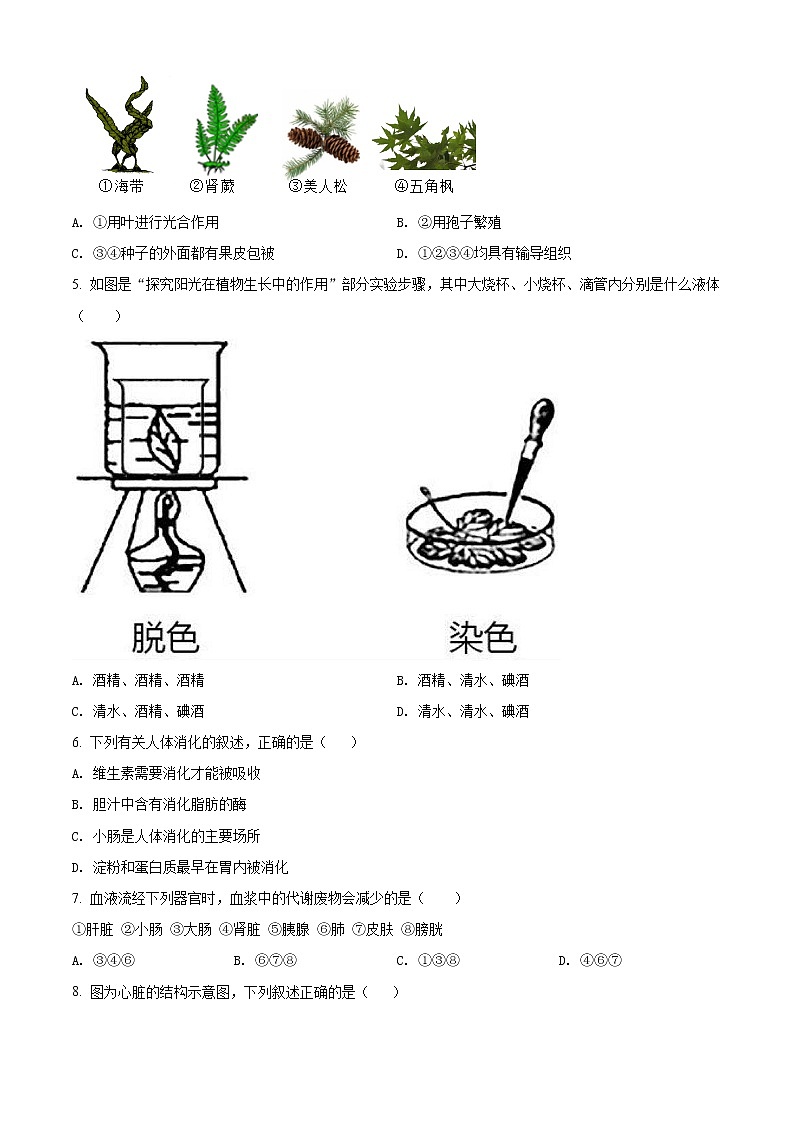 精品解析：2021年山东省菏泽市单县中考一模生物试题（解析版+原卷版）02