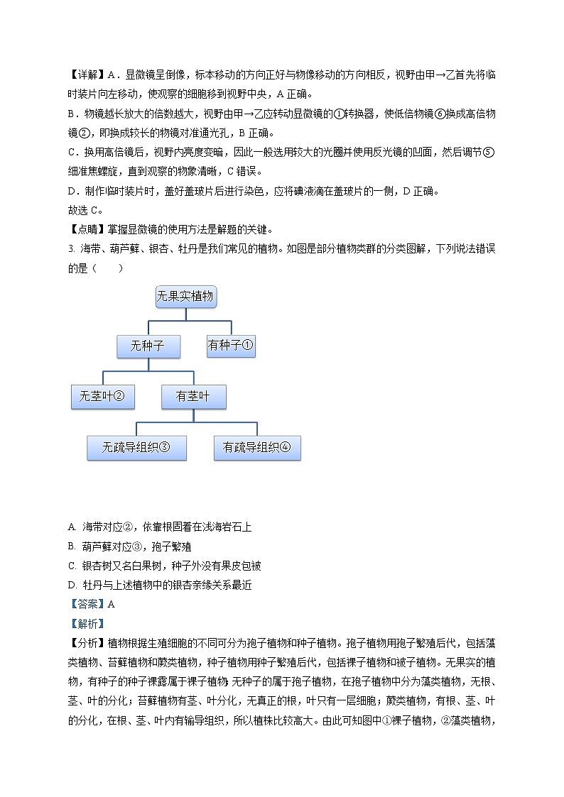 精品解析：2020年山东省菏泽市牡丹区九年级中考一模生物试题（解析版+原卷版）02