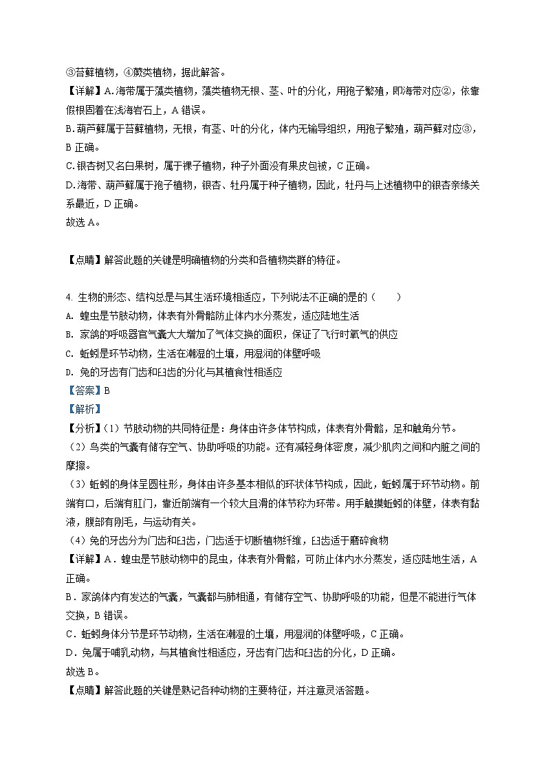 精品解析：2020年山东省菏泽市牡丹区九年级中考一模生物试题（解析版+原卷版）03