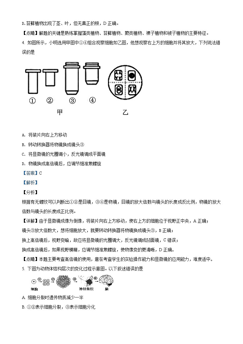精品解析：2020年山东省菏泽市曹县九年级中考一模生物试（解析版+原卷版）03