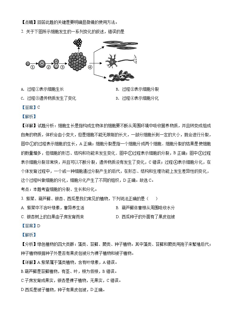 精品解析：2021年山东省菏泽市东明县中考一模生物试题（解析版+原卷版）02