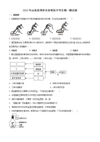 精品解析：2020年山东省菏泽市东明县中考一模生物试题（解析版+原卷版）