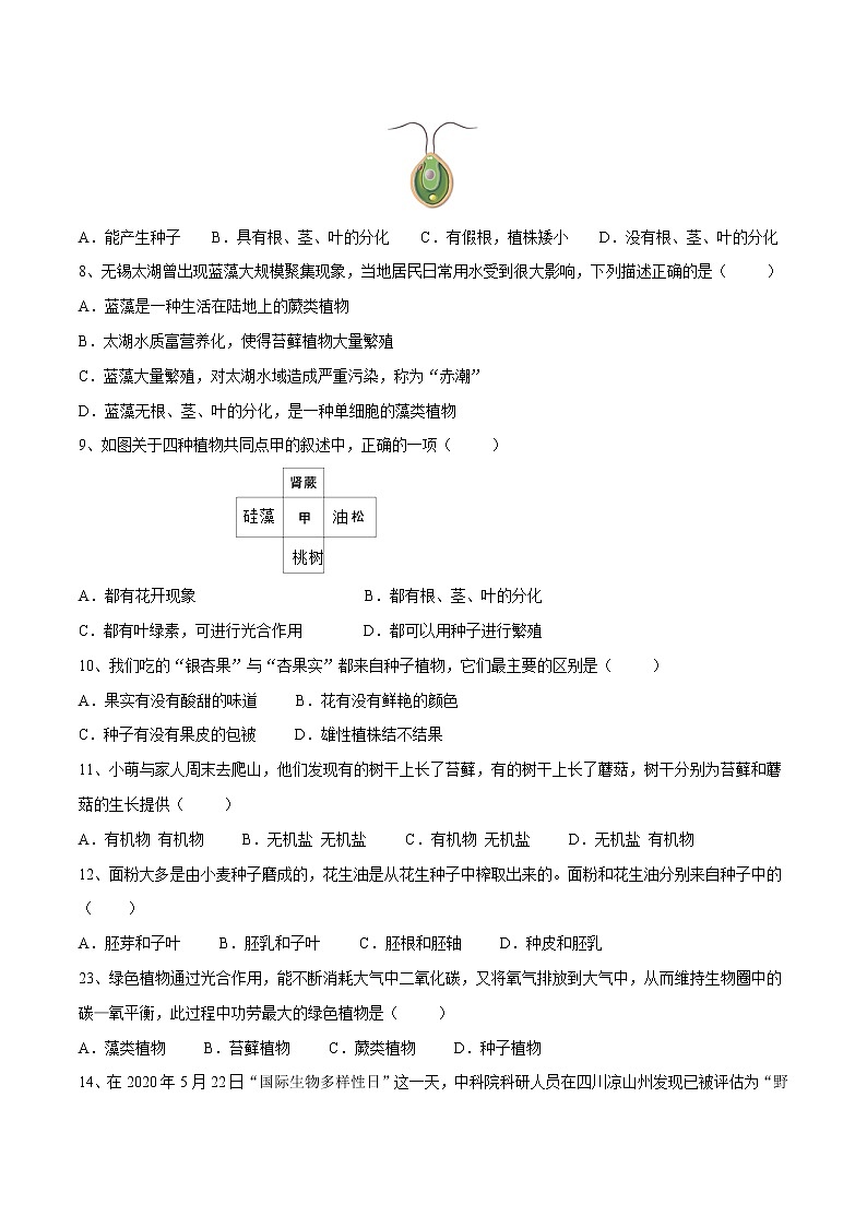 03生物圈中的绿色植物2021-2022学年七年级生物上学期期末满分冲刺专题精选带答案02