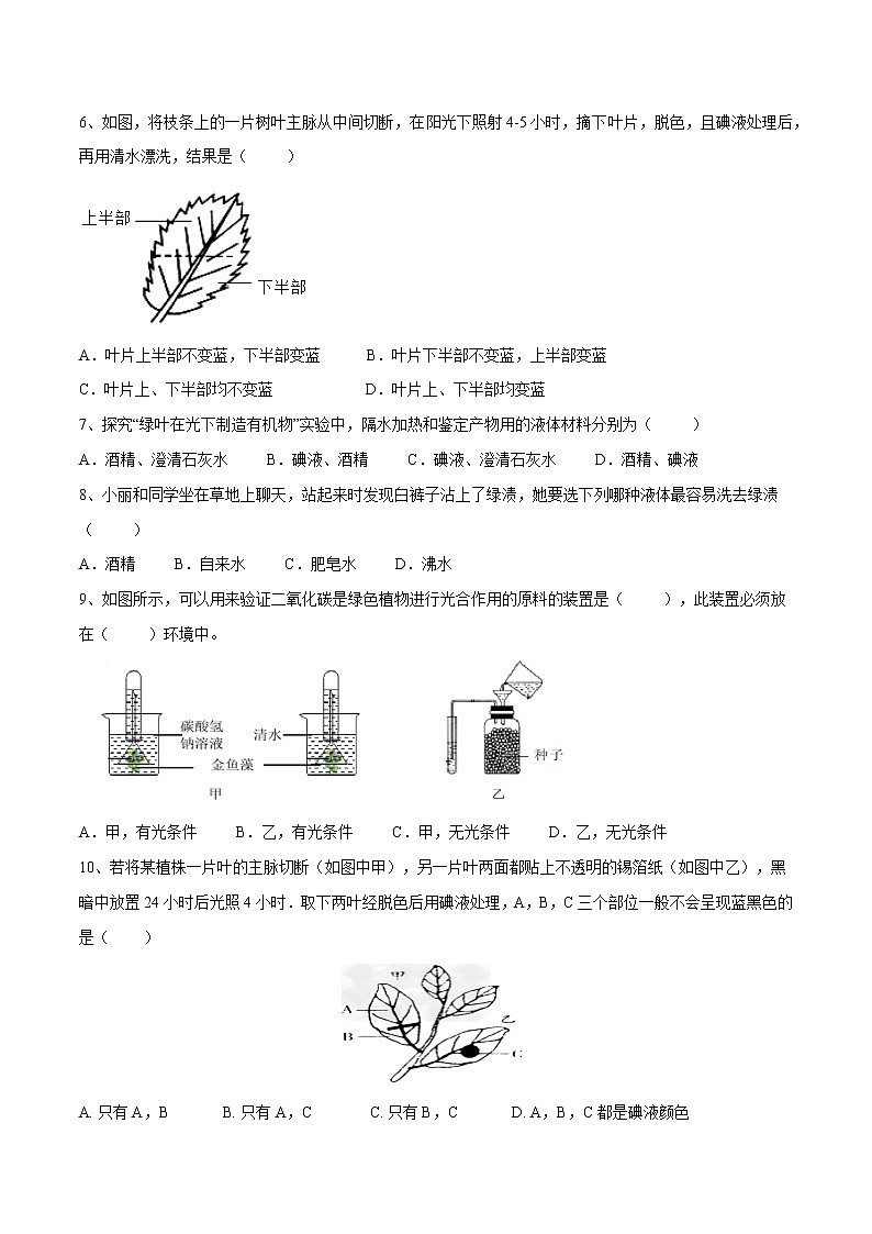 06绿色植物是生物圈中有机物的制造者2021-2022学年七年级生物上学期期末满分冲刺专题精选带答案第2页