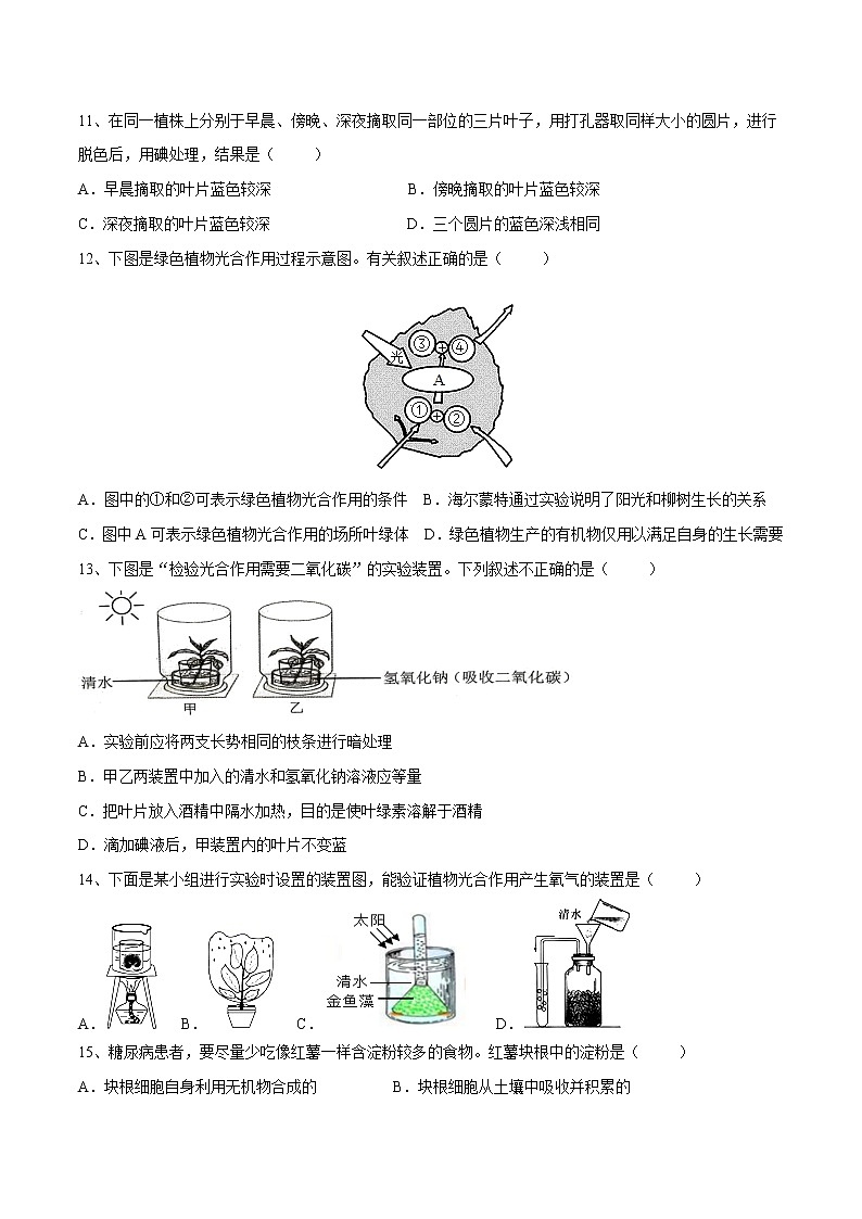 06绿色植物是生物圈中有机物的制造者2021-2022学年七年级生物上学期期末满分冲刺专题精选带答案第3页