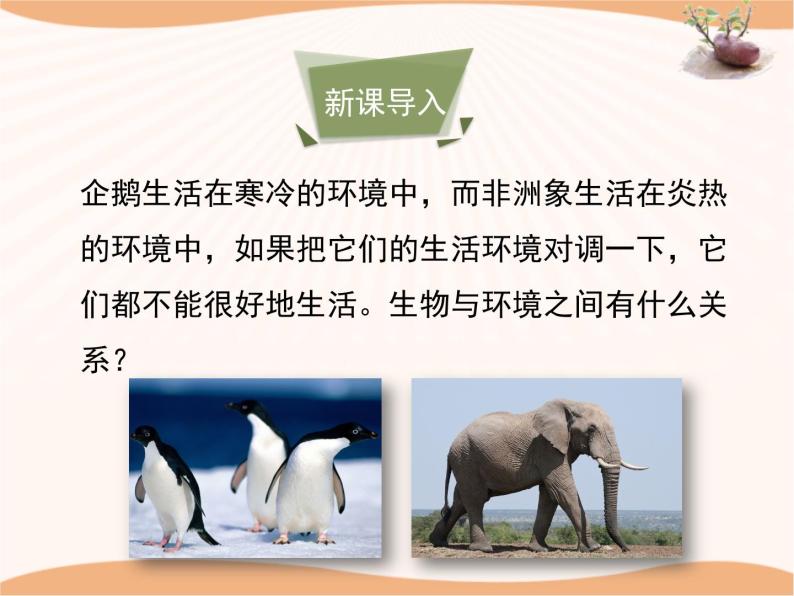 初中第二节 生物对环境的适应和影响优秀课件ppt-教习网|课件下载