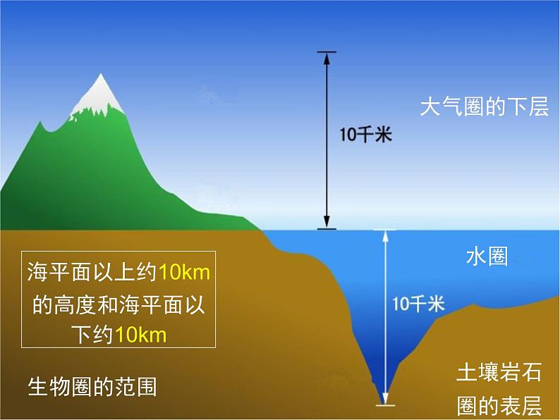 《生物圈》课件06