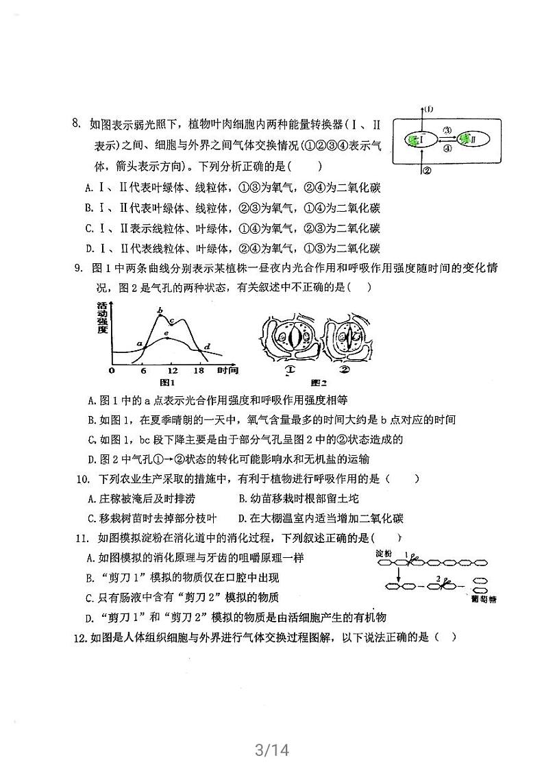 山东省青岛市37中学2021年生物一模试题（无答案）03